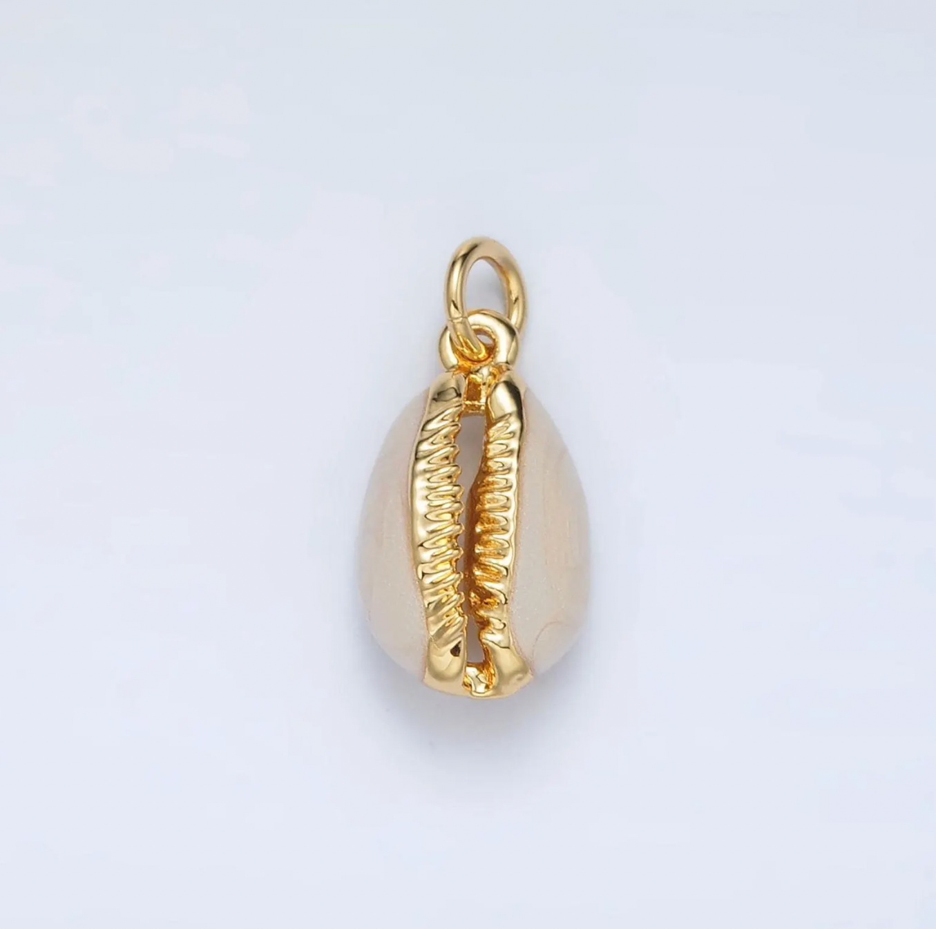 Cowrie Shell