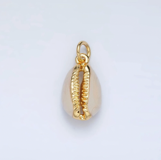 Cowrie Shell